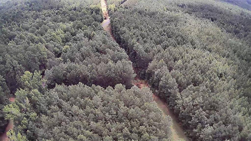 Minden, LA 71055,0 Moody Road