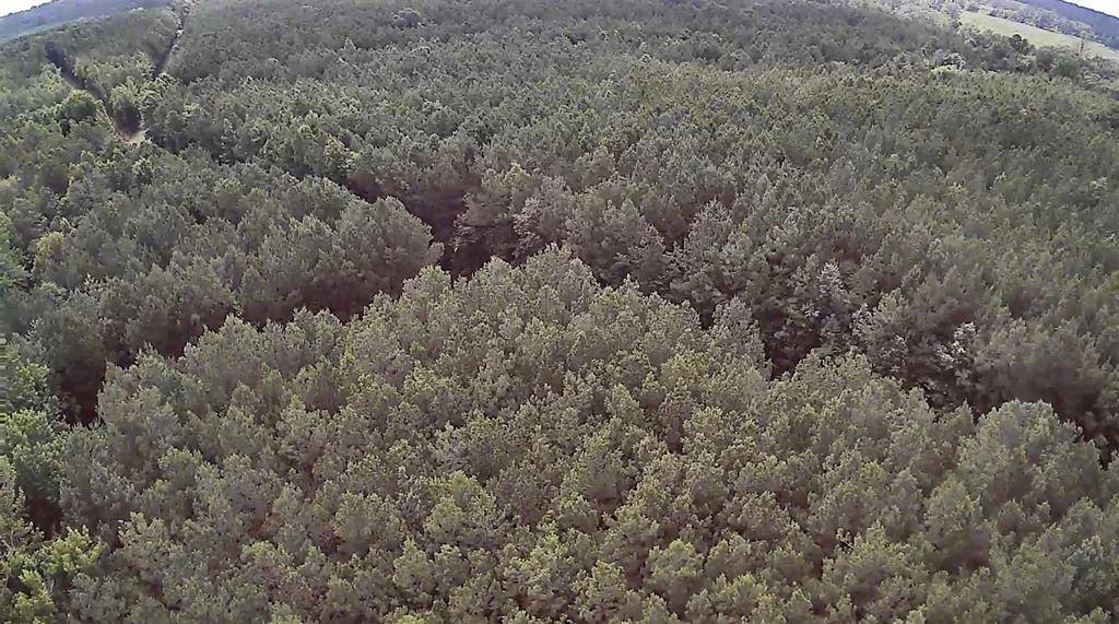 Minden, LA 71055,0 Moody Road