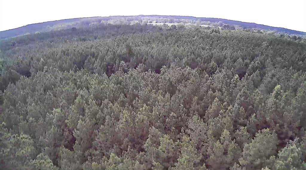 Minden, LA 71055,0 Moody Road