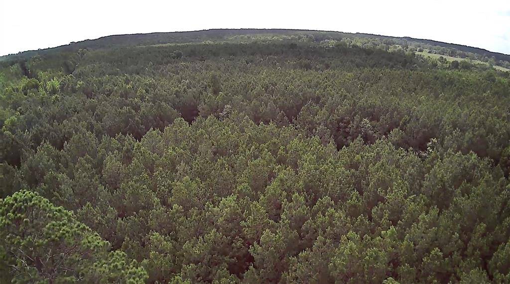 Minden, LA 71055,0 Moody Road