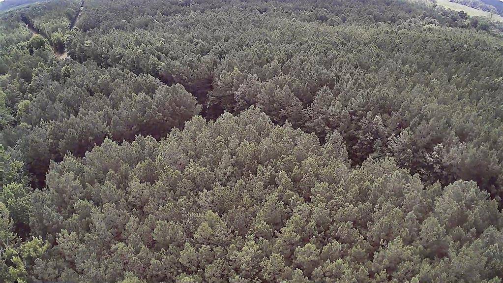 Minden, LA 71055,0 Moody Road