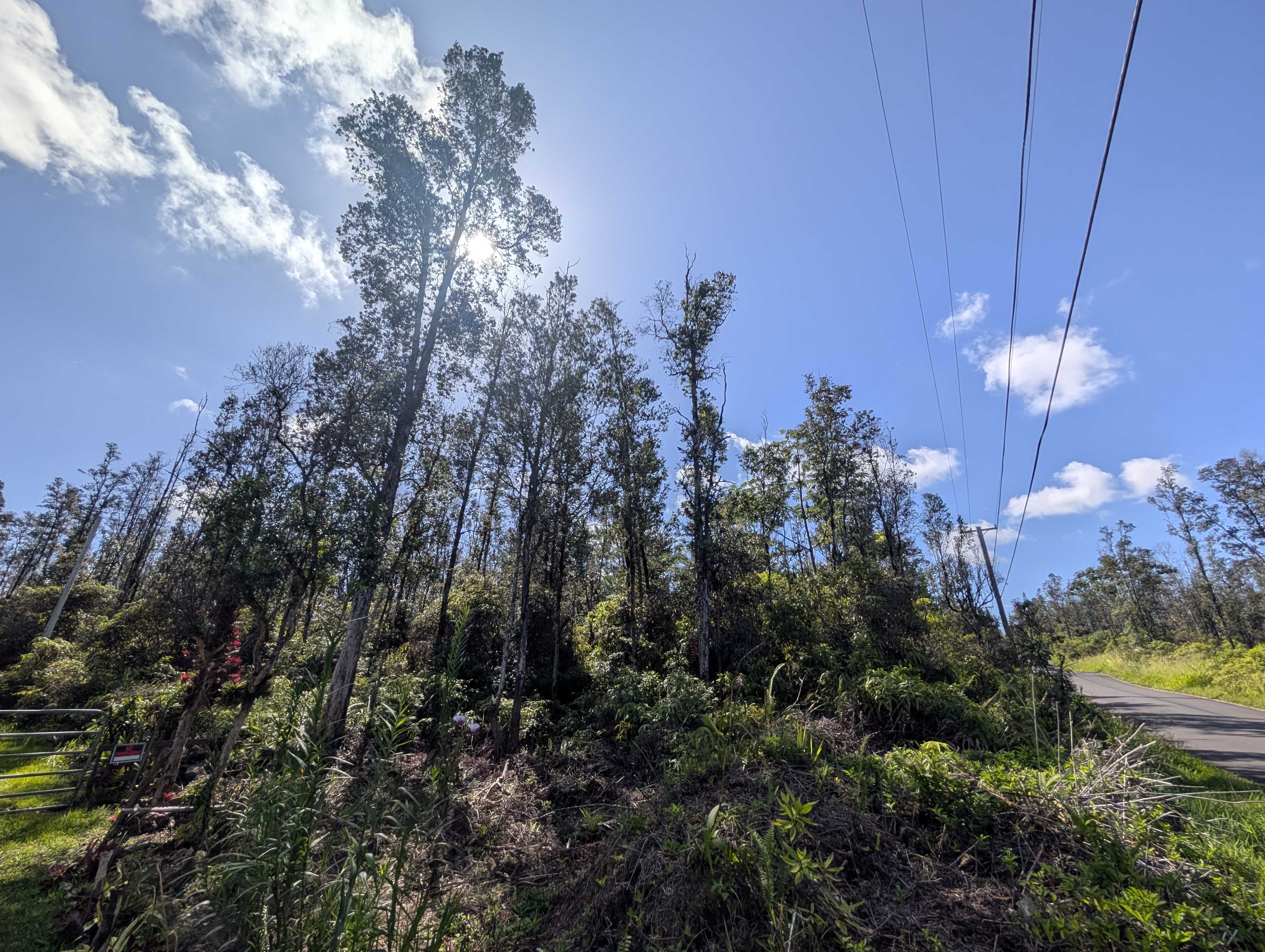 Kurtistown, HI 96760,AULII ST