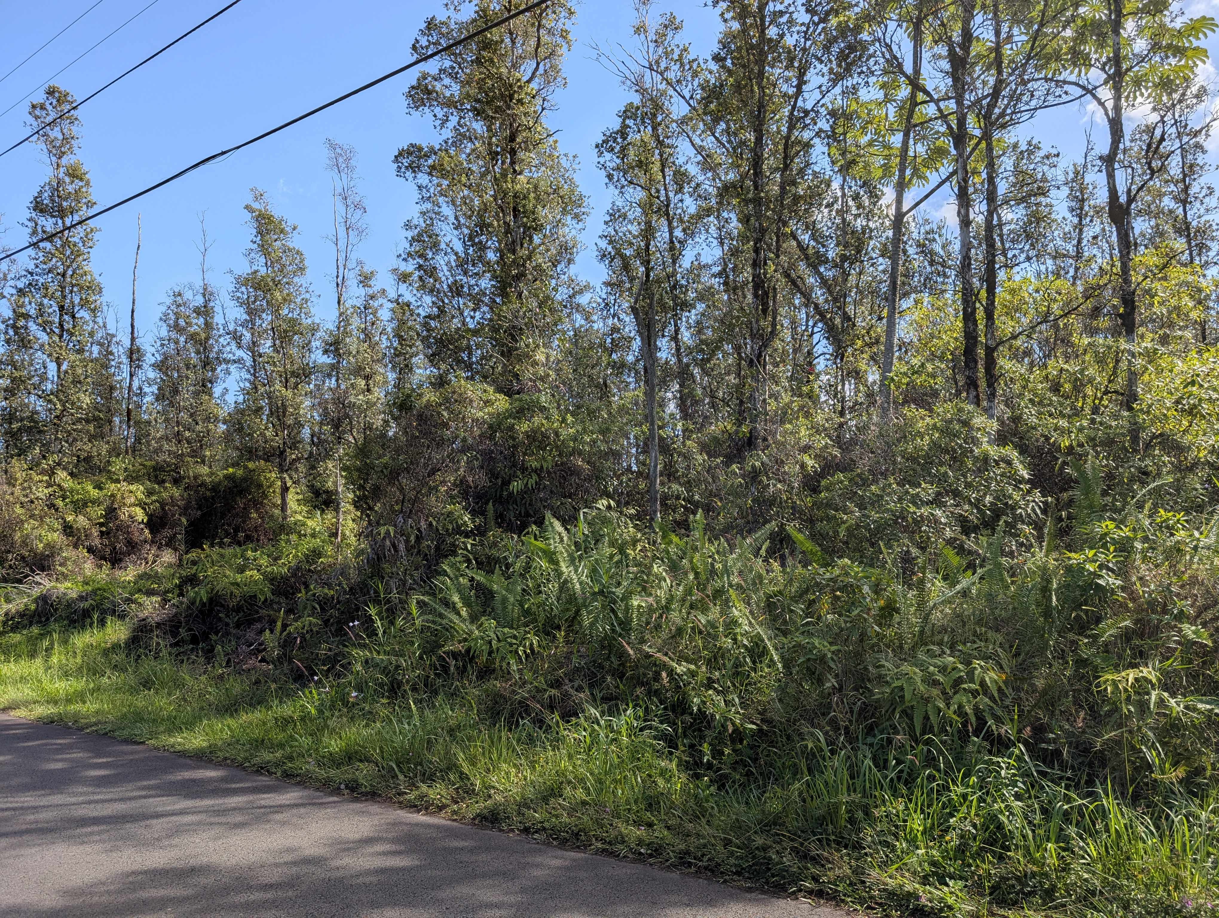 Kurtistown, HI 96760,AULII ST