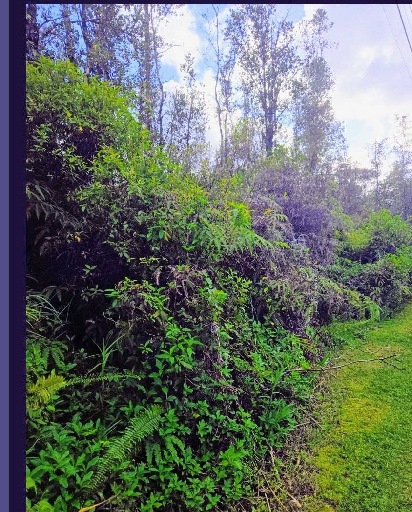 Kurtistown, HI 96760,AULII ST