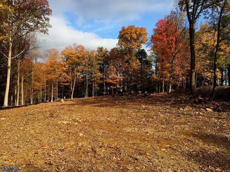 Warren Twp., NJ 07059,118 Old Stirling Rd