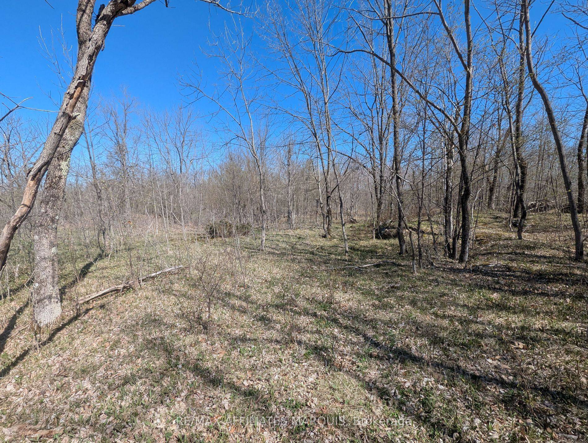 Rideau Lakes, ON K0G 1X0,0 LITTLE CROSBY LAKE RD