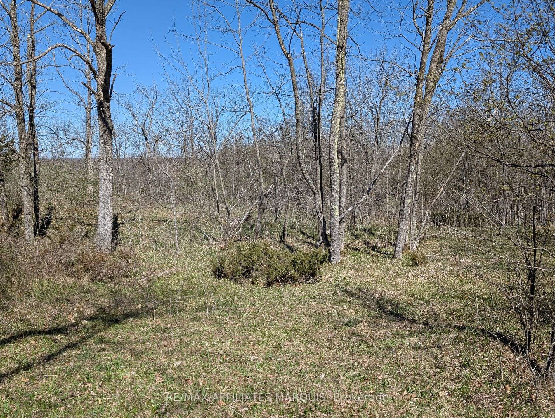 Rideau Lakes, ON K0G 1X0,0 LITTLE CROSBY LAKE RD