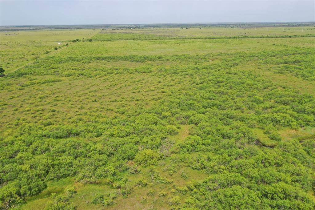 TBD FM 2321, Bellevue, TX 76228