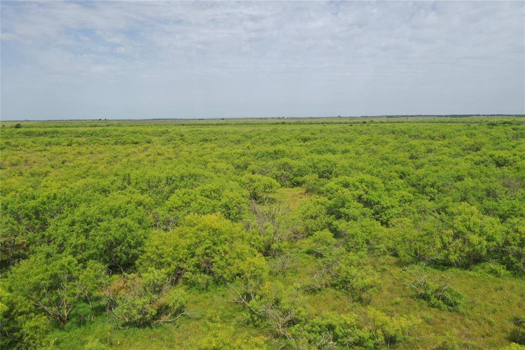 TBD FM 2321, Bellevue, TX 76228