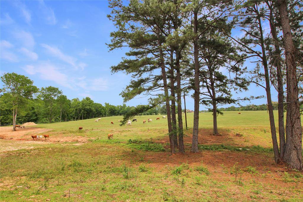 Jacksonville, TX 75766,19413 US Highway 79 E