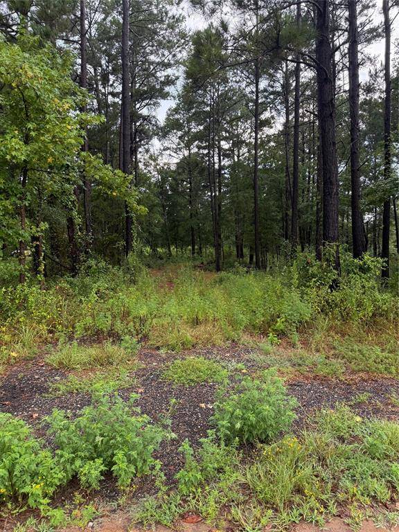 Big Sandy, TX 75755,833 CR 3639