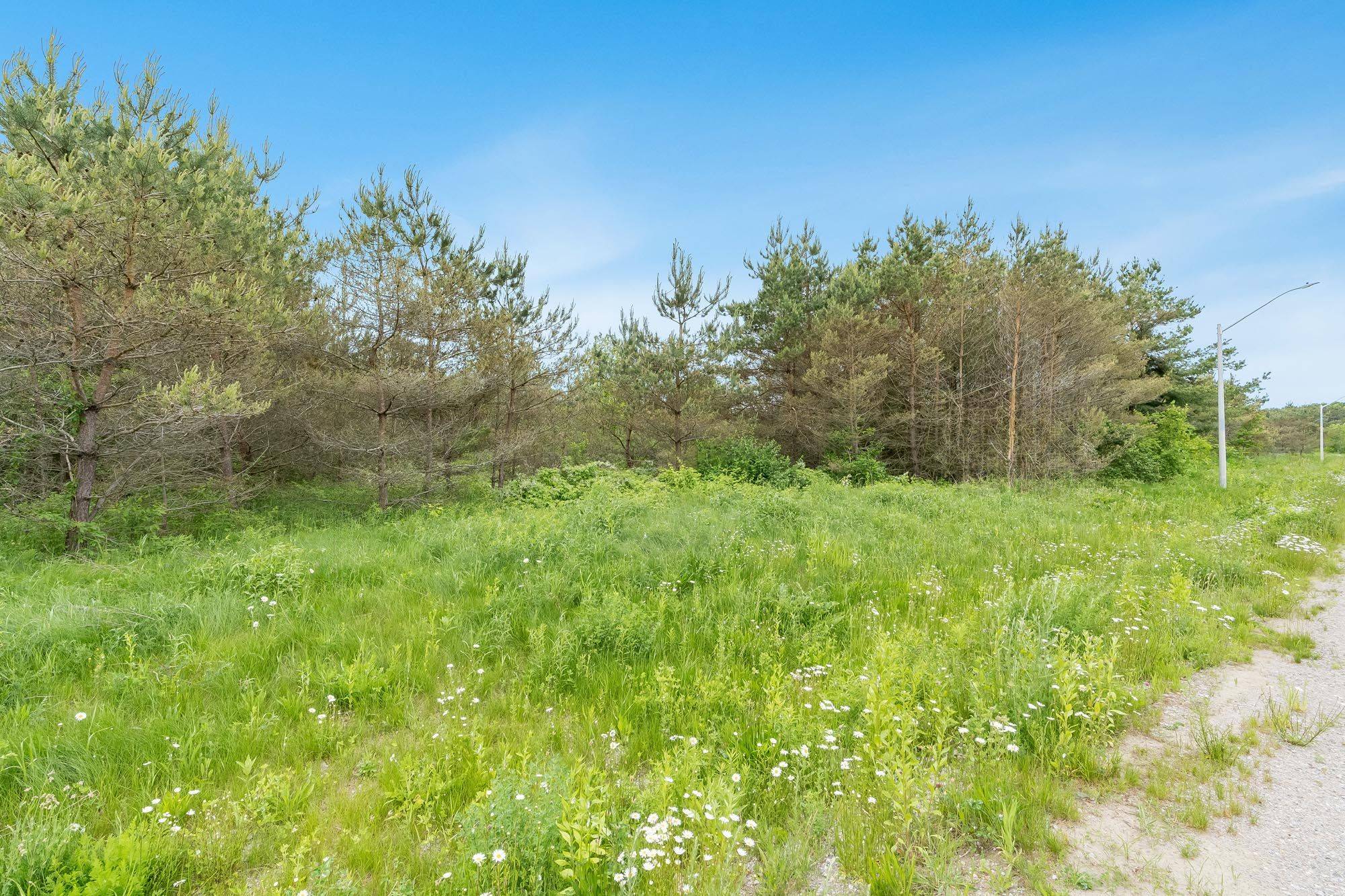 Tiny, ON L9M 0H1,Lot 33 Rue Eric N/A