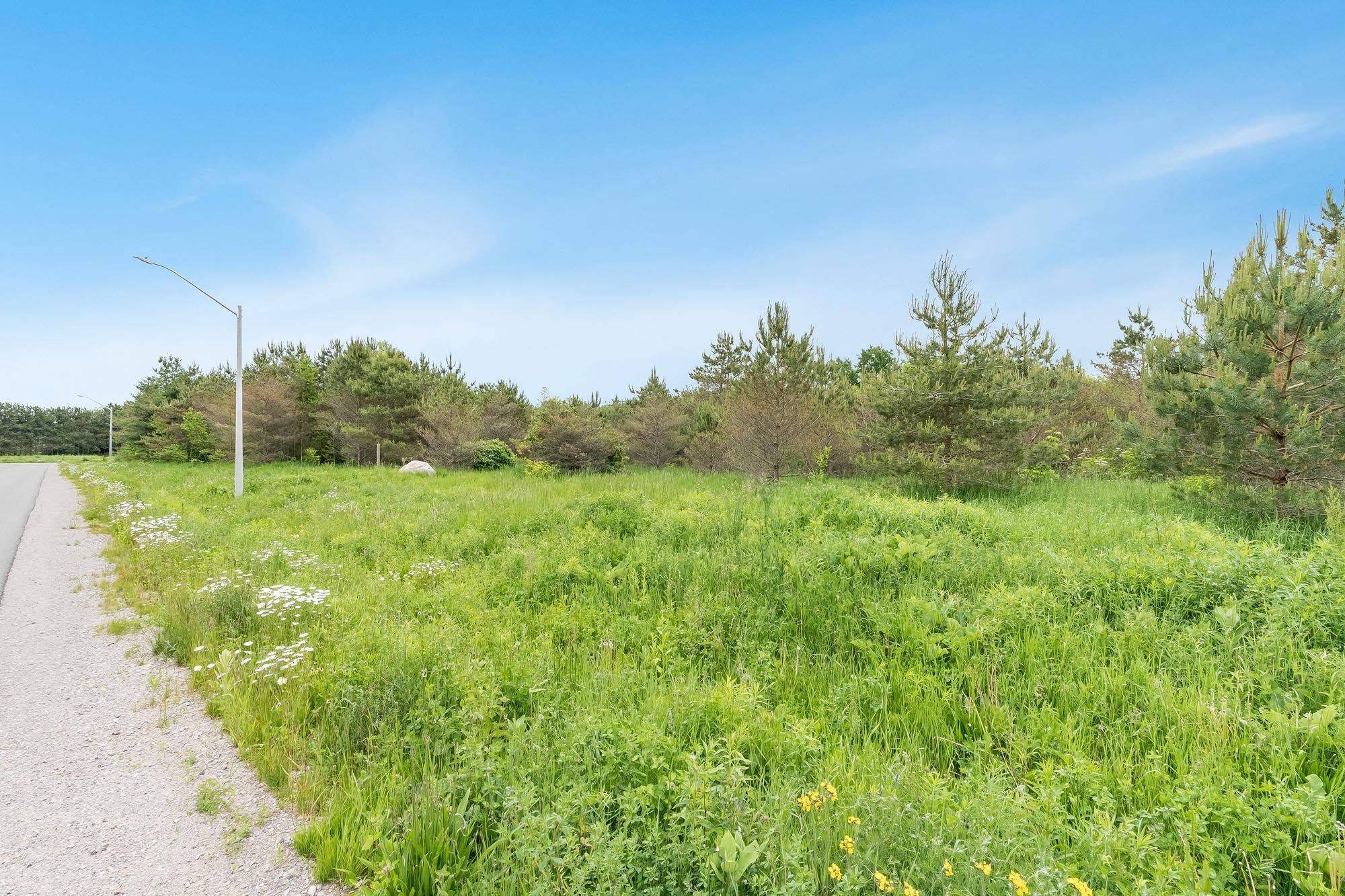 Tiny, ON L9M 0H1,Lot 32 Rue Eric N/A