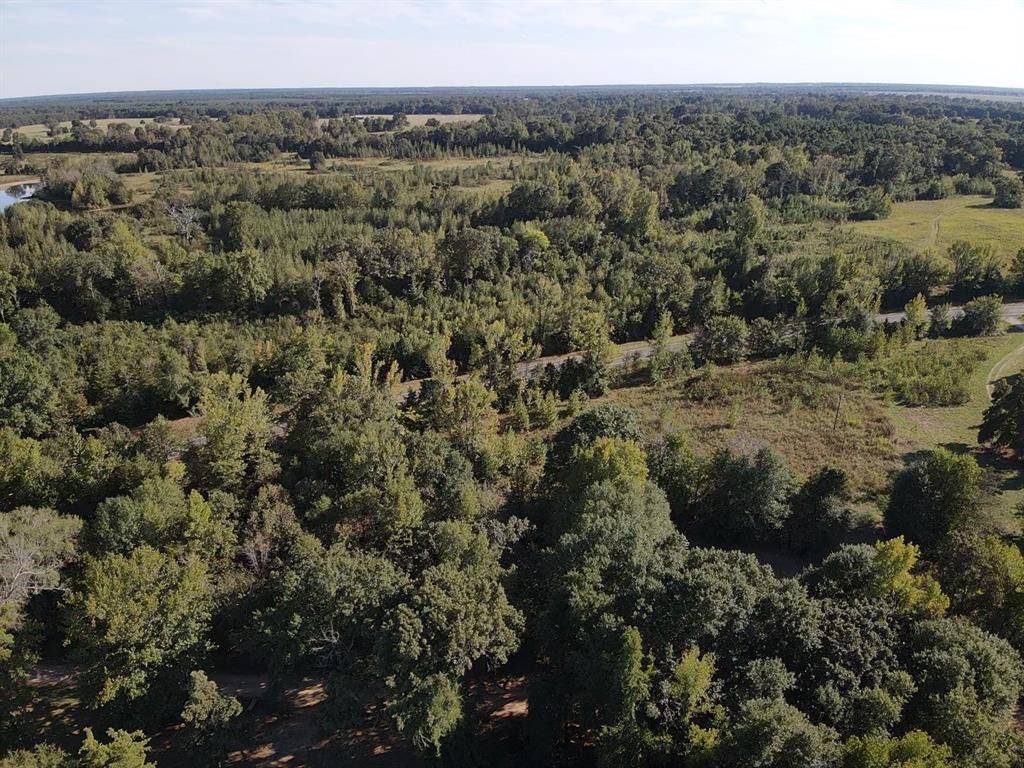 Bagwell, TX 75412,TBD FM 195