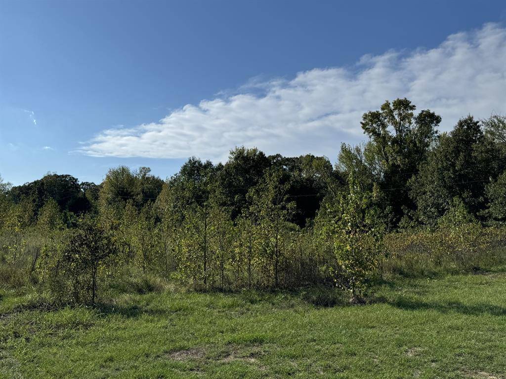 Bagwell, TX 75412,TBD FM 195