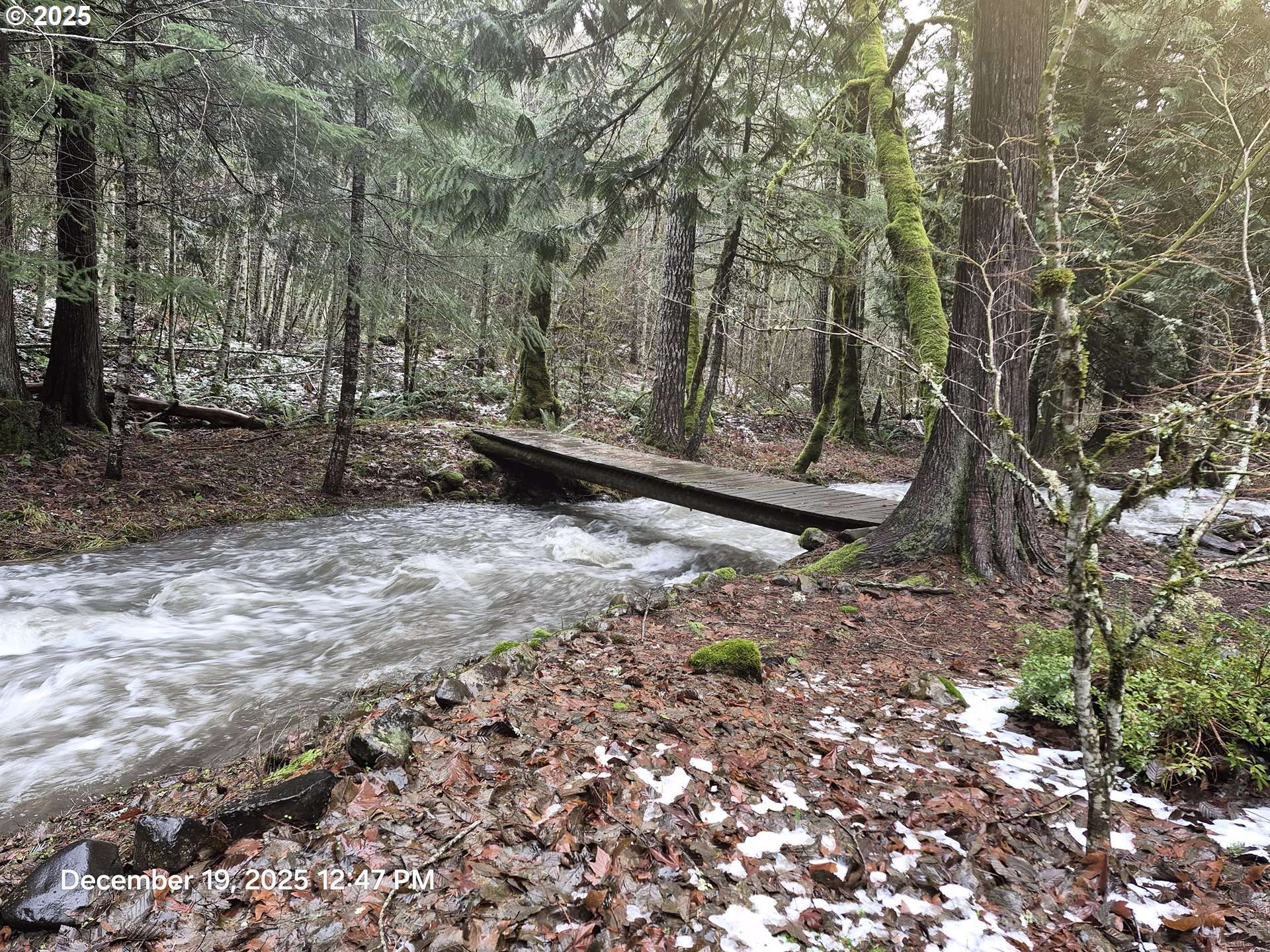 Cook, WA 98605,Address not disclosed