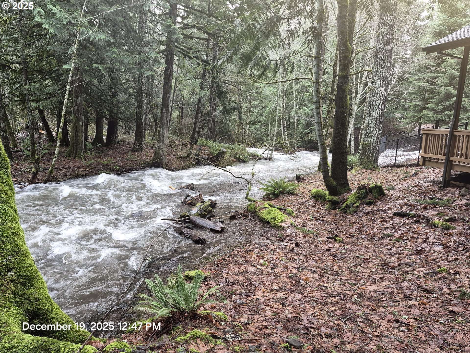 Cook, WA 98605,Address not disclosed