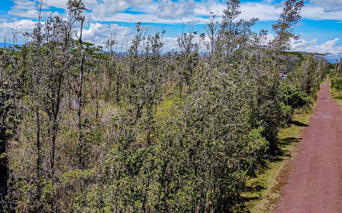 Keaau, HI 96749,SANDALWOOD CT