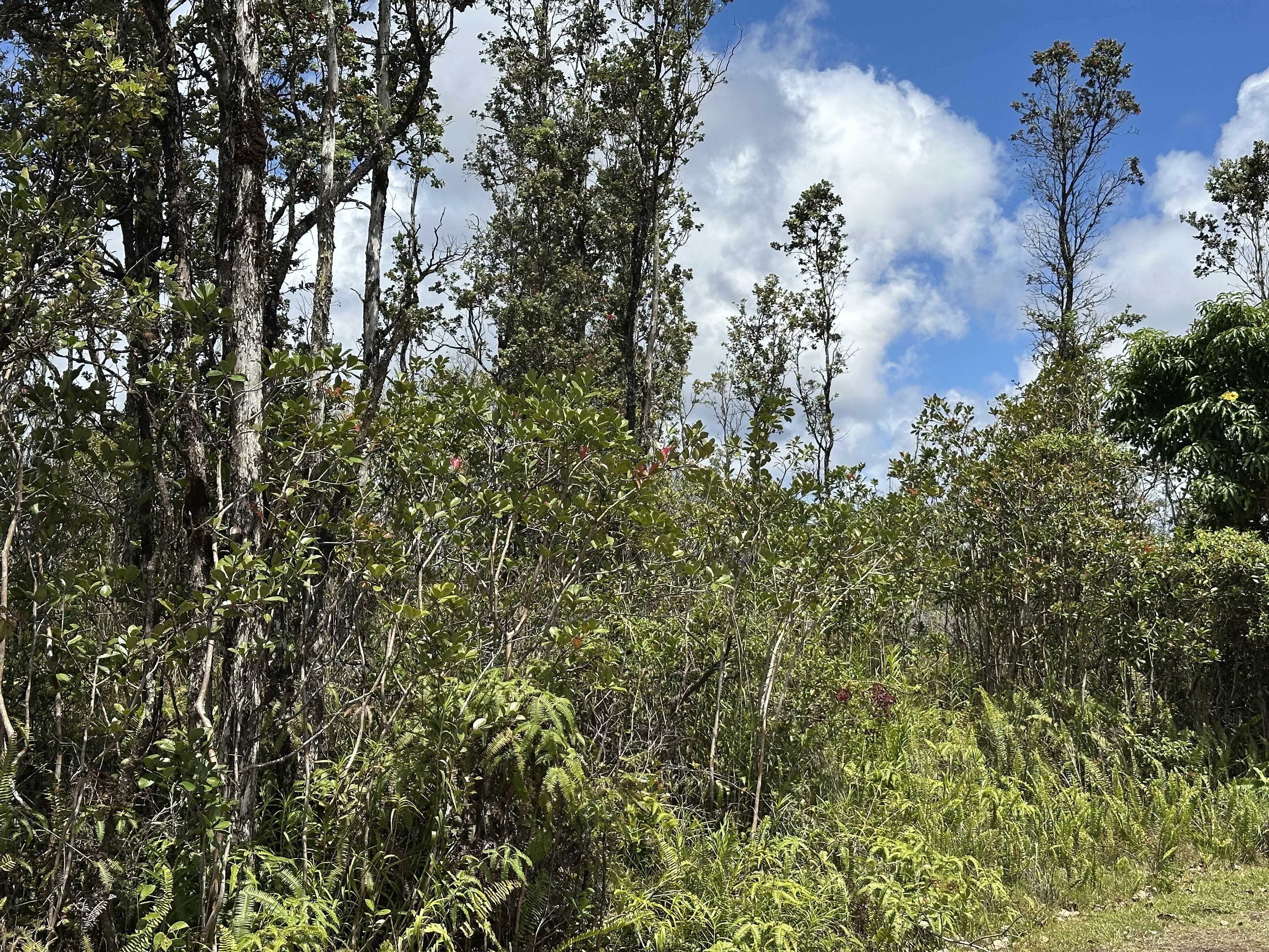 Keaau, HI 96749,SANDALWOOD CT