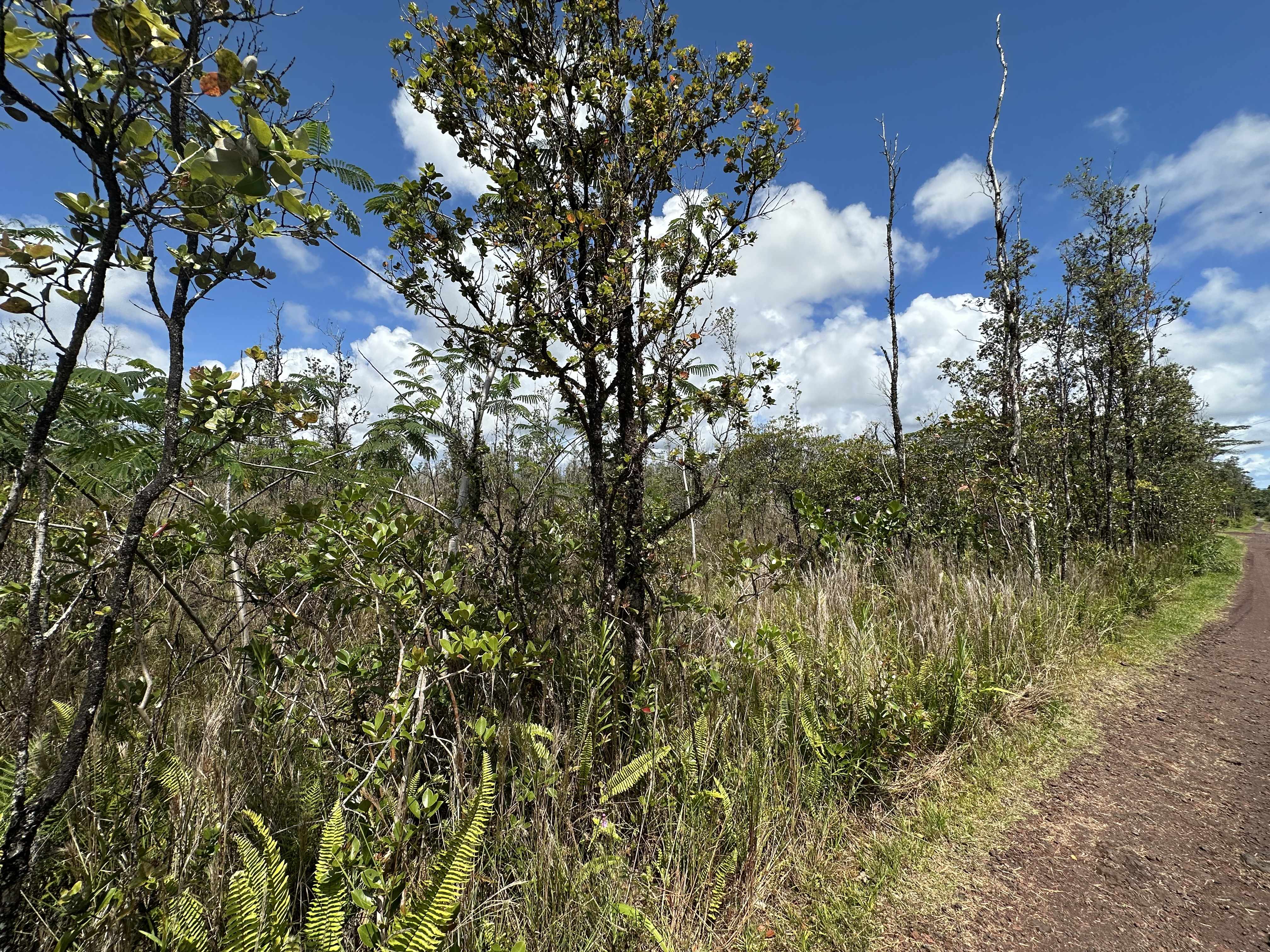 Keaau, HI 96749,SANDALWOOD CT