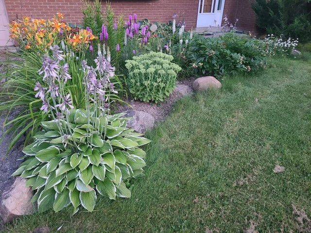 Bradford West Gwillimbury, ON L0L 1R0,2717 Line 13 Line