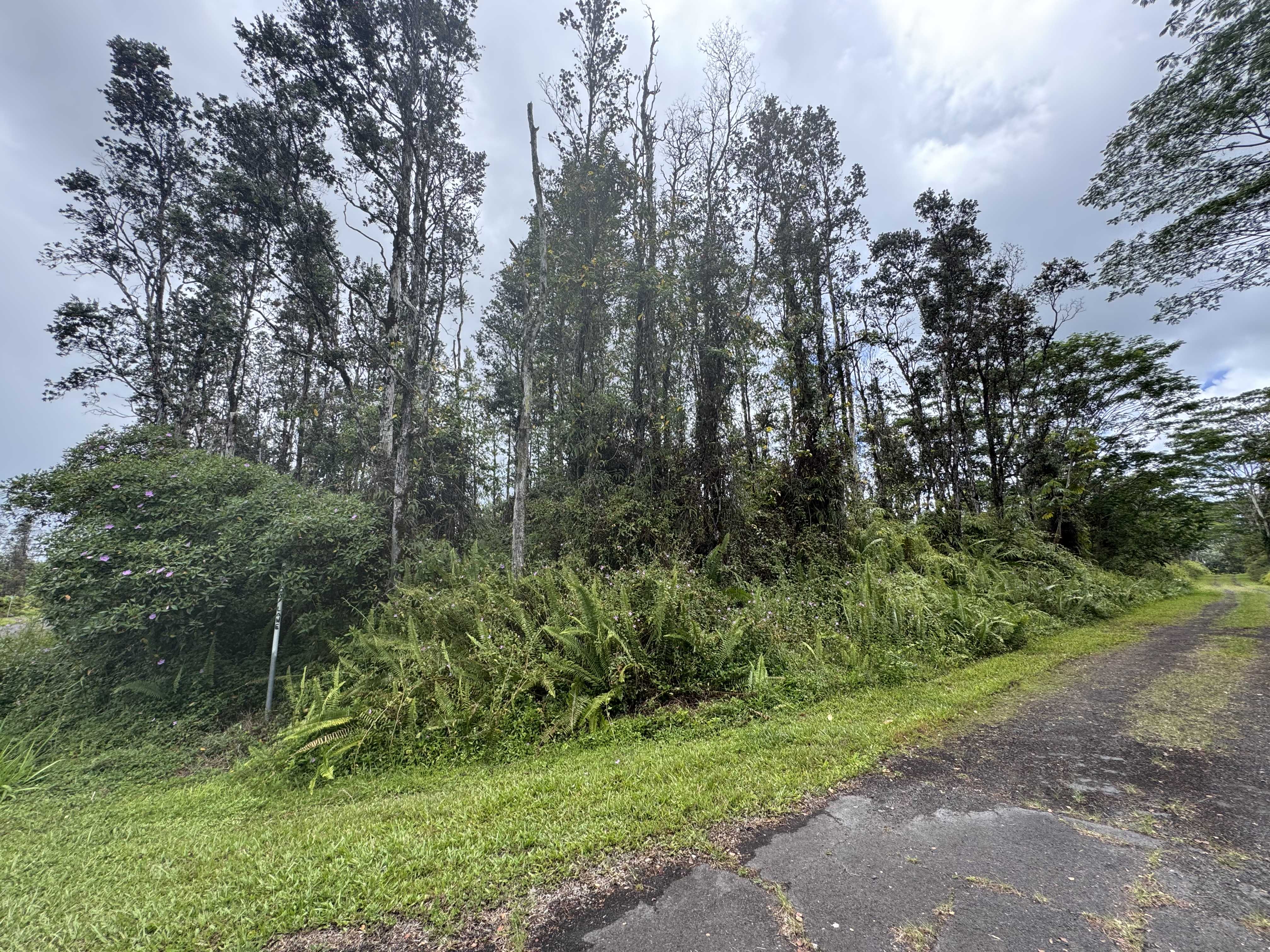 Pahoa, HI 96778,PAHOA RD