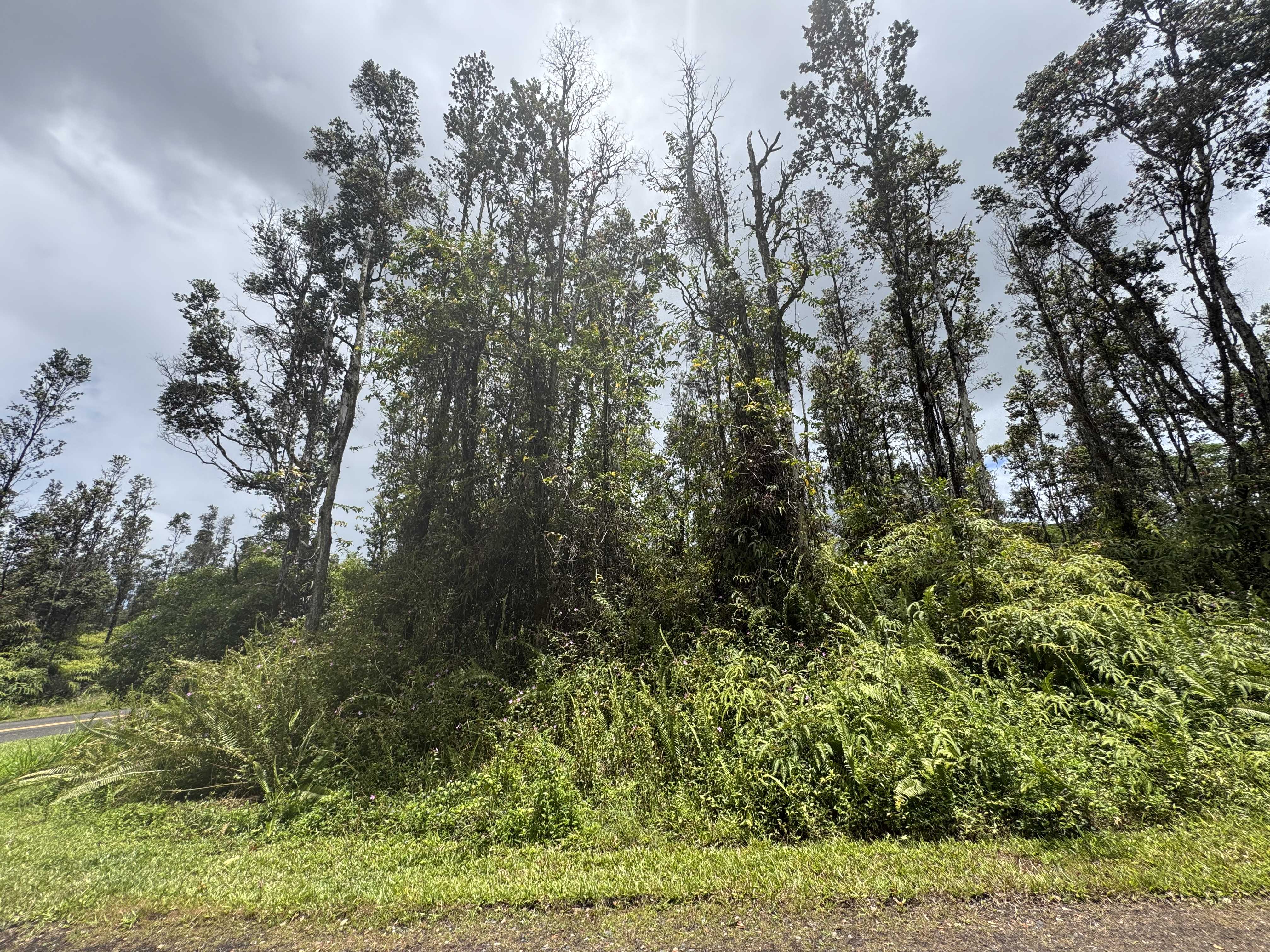 Pahoa, HI 96778,PAHOA RD