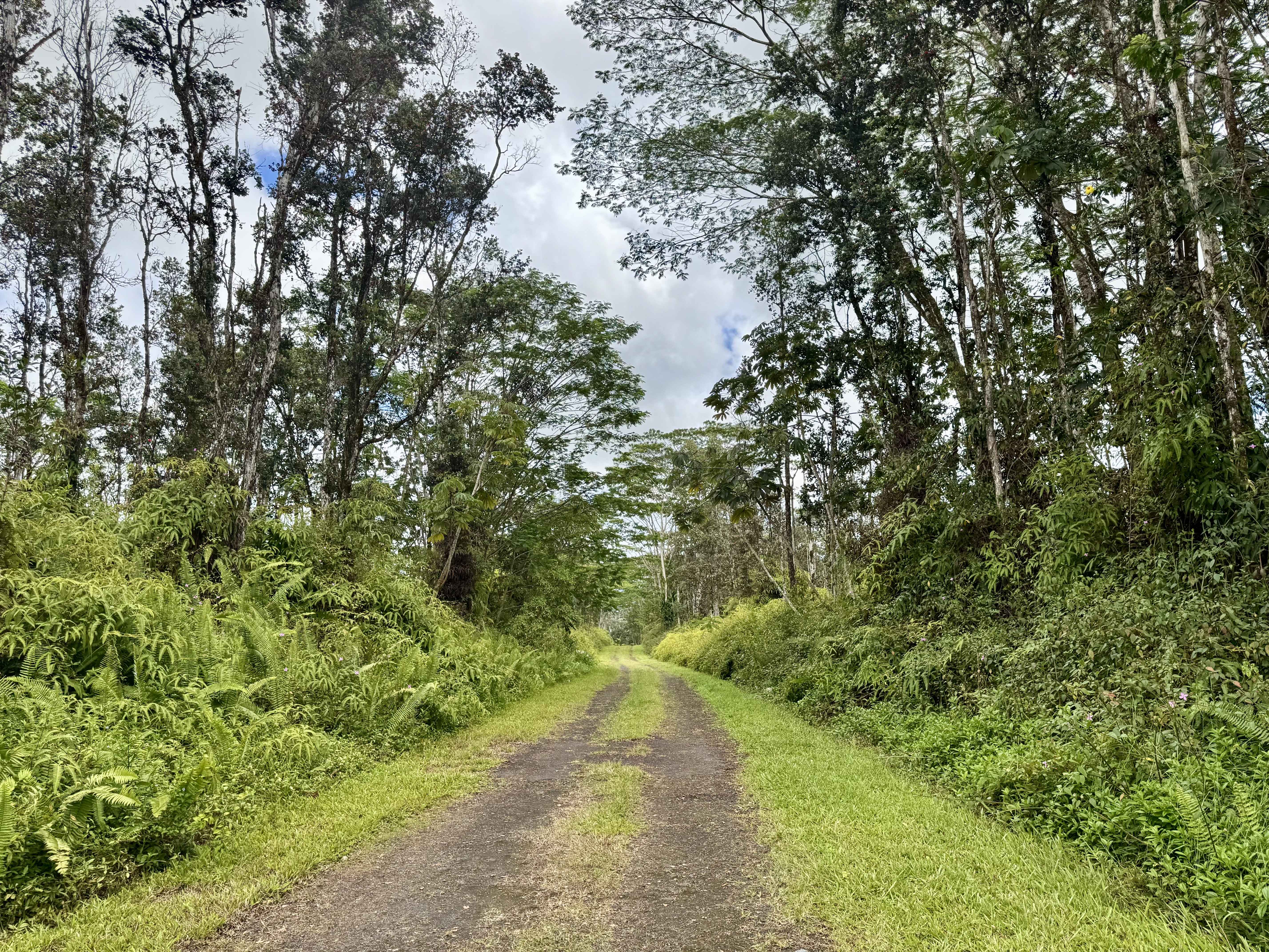 Pahoa, HI 96778,PAHOA RD
