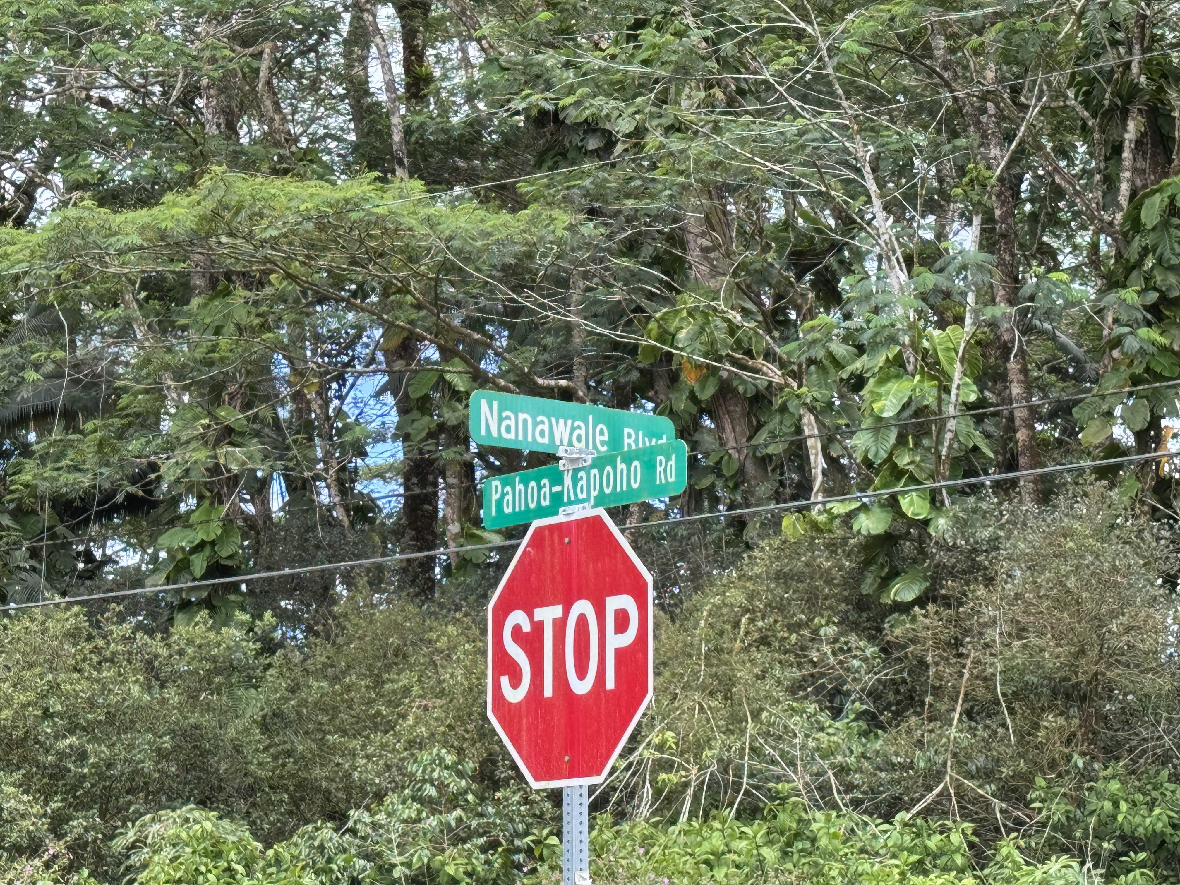 Pahoa, HI 96778,HAPUU RD