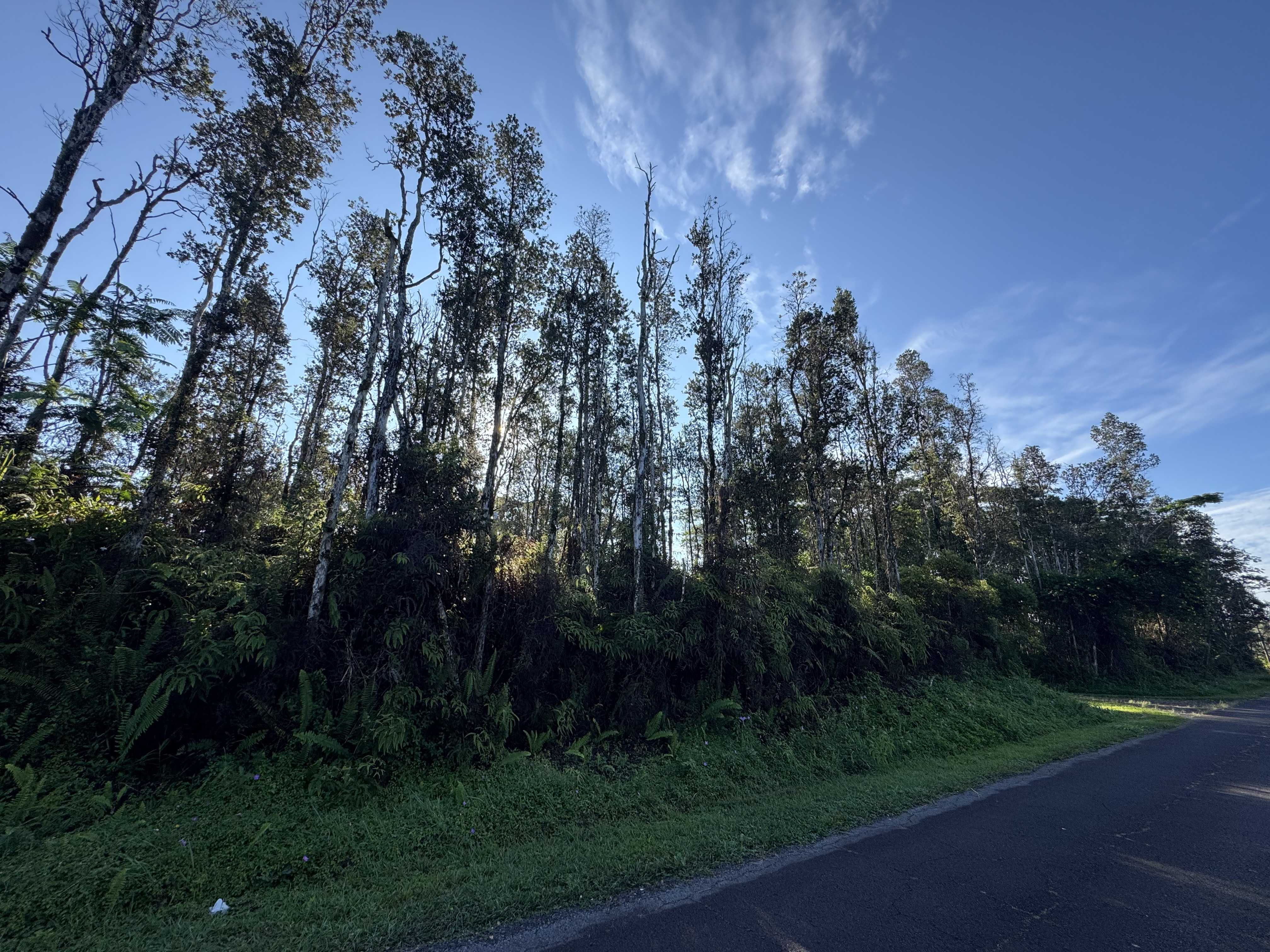 Pahoa, HI 96778,HAPUU RD