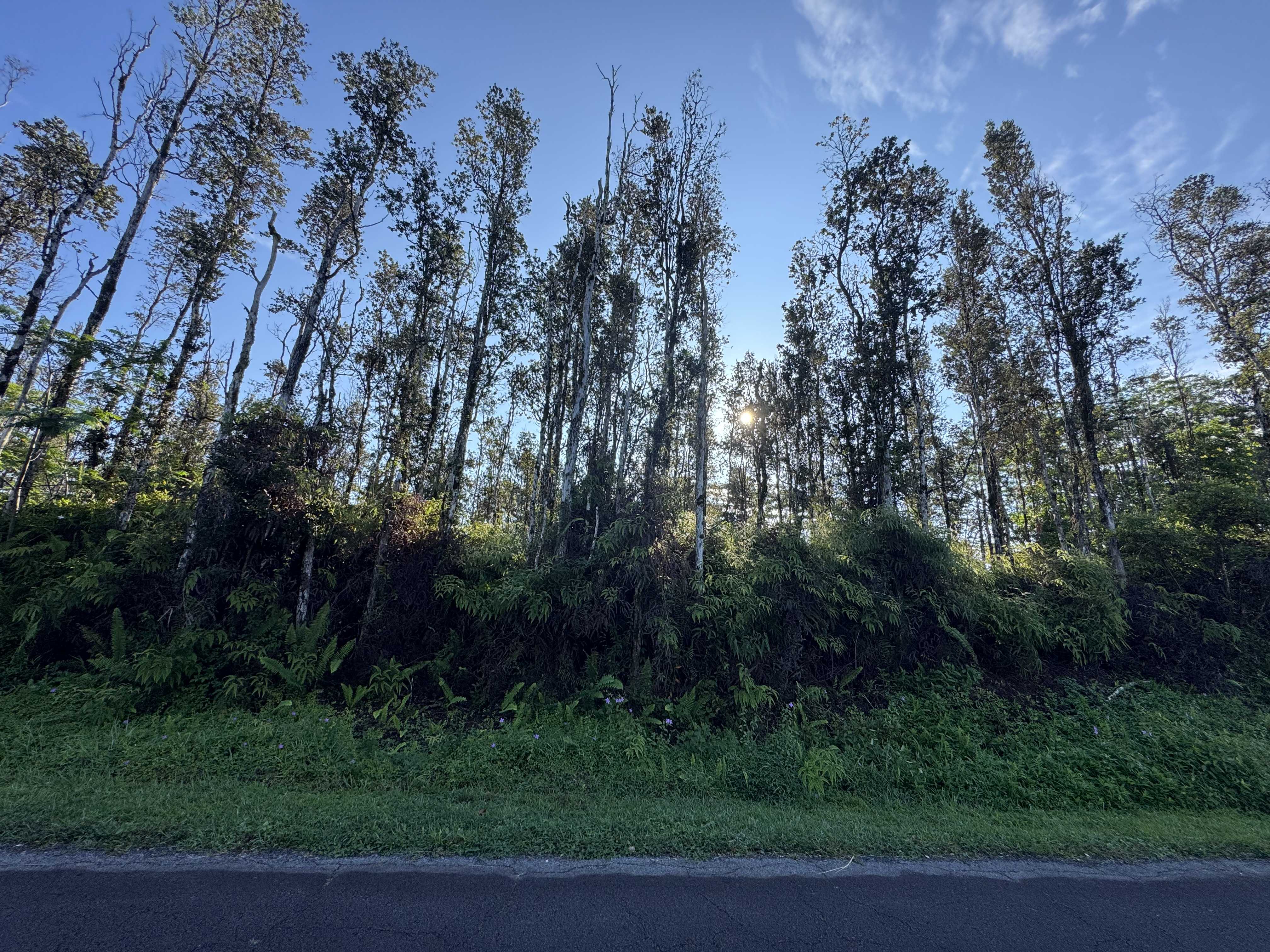 Pahoa, HI 96778,HAPUU RD