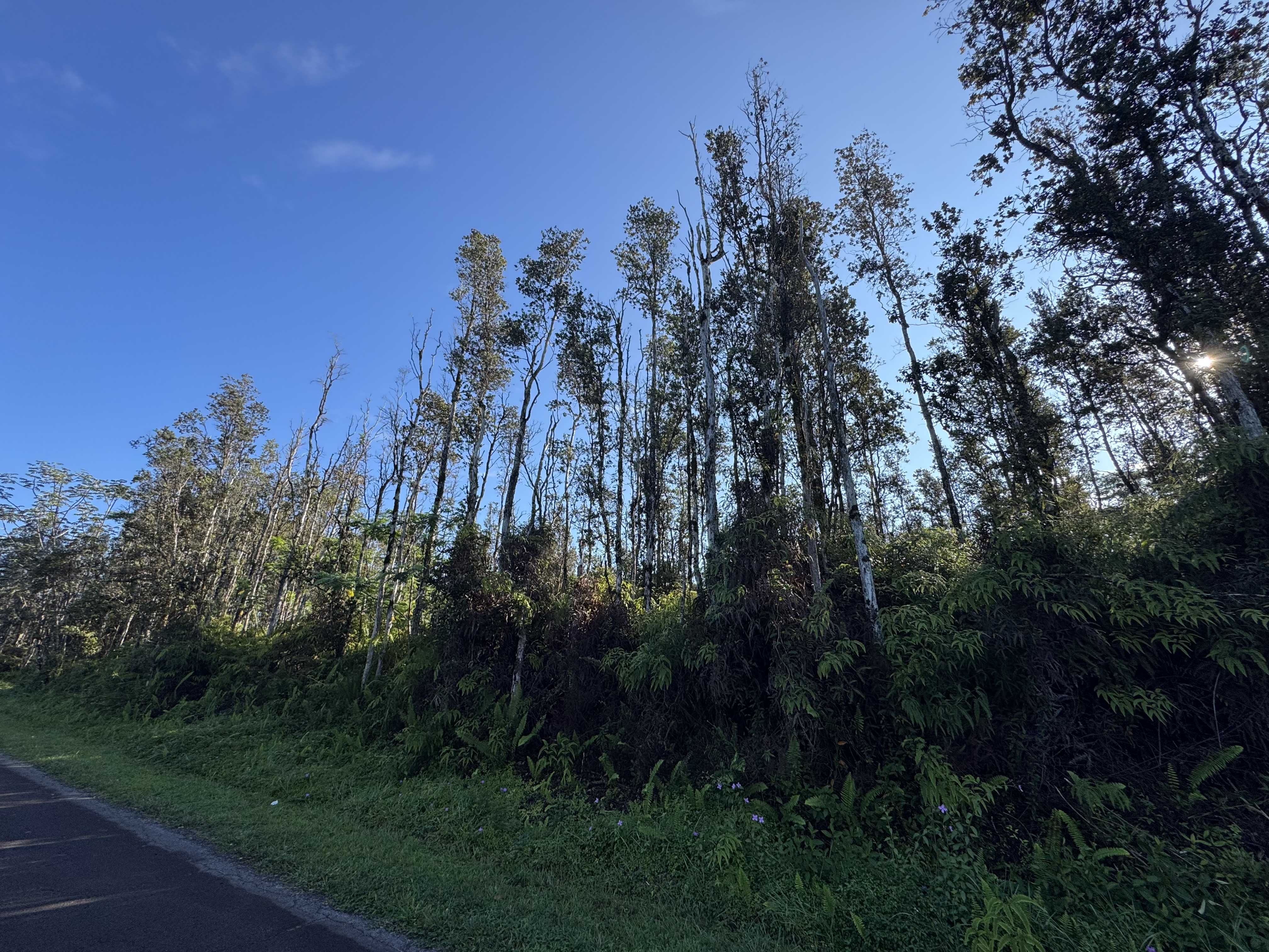 Pahoa, HI 96778,HAPUU RD