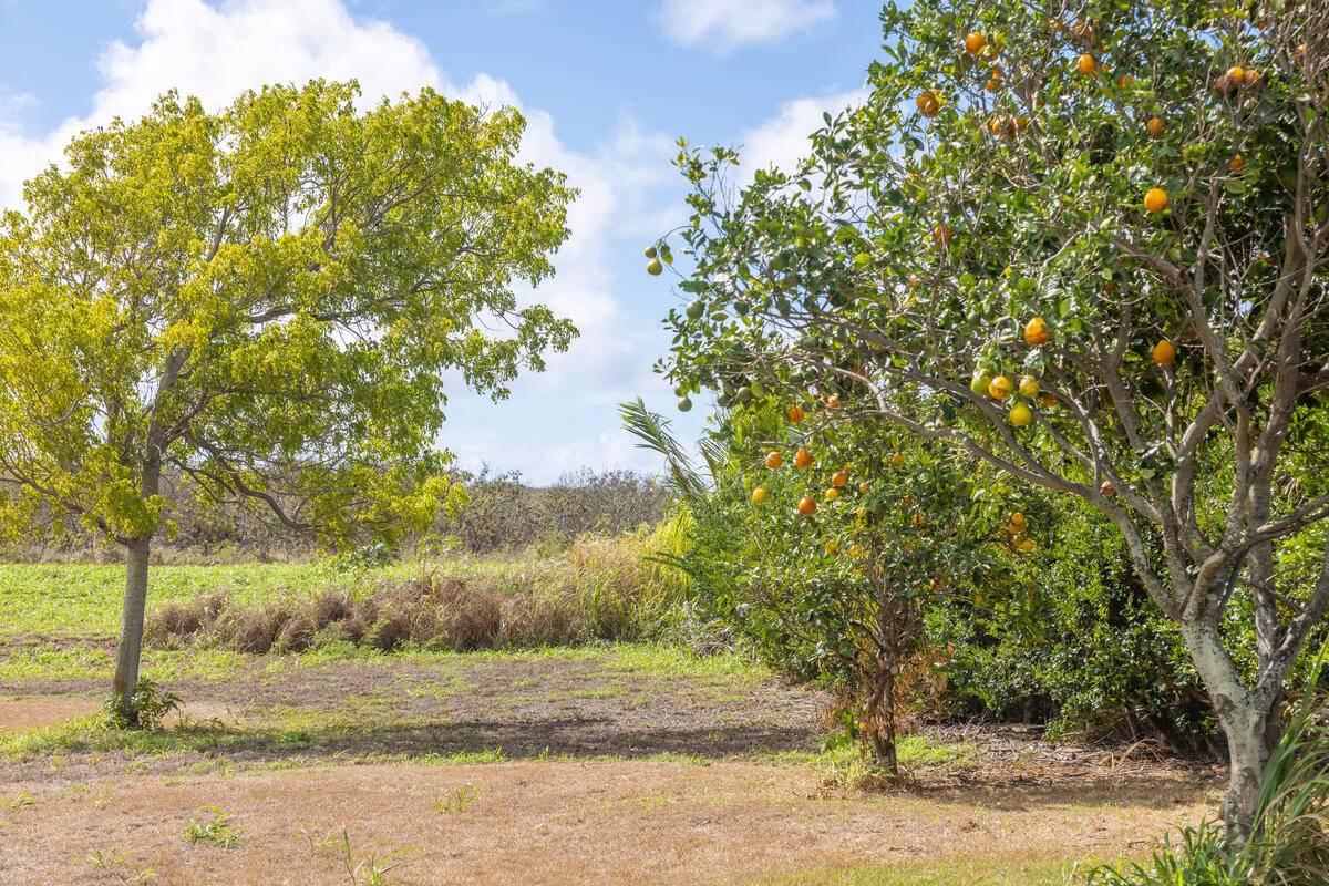 Koloa, HI 96756,POIPU AINA PL