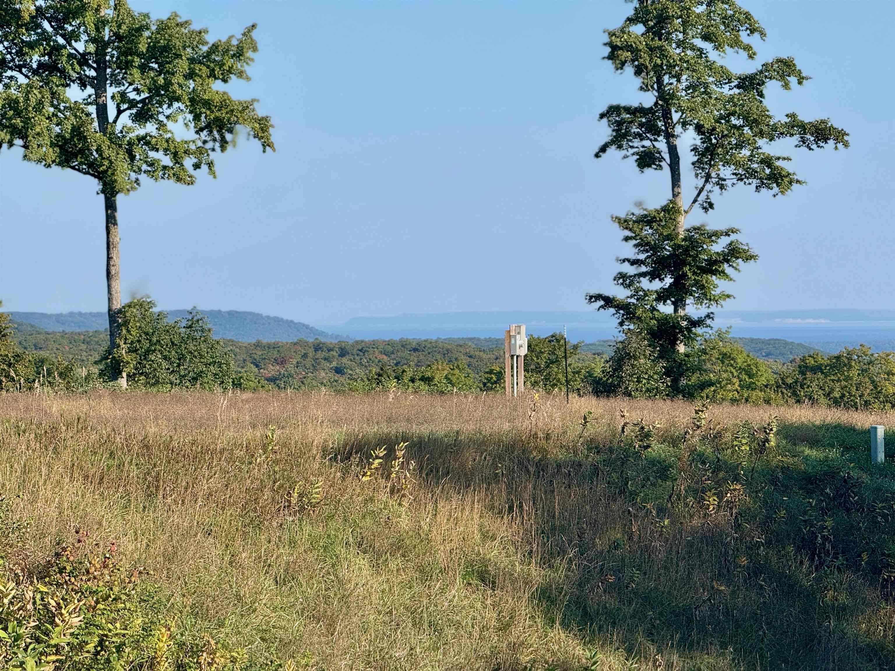 Empire, MI 49630,0 W Timber Wolf CT