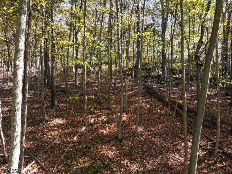 Lafayette Twp., NJ 07848,19 Mudcut Rd