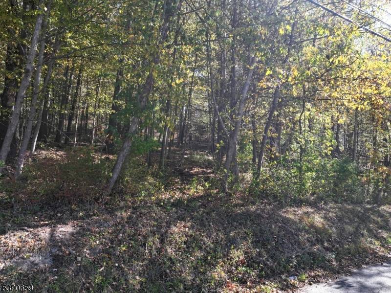 Lafayette Twp., NJ 07848,19 Mudcut Rd