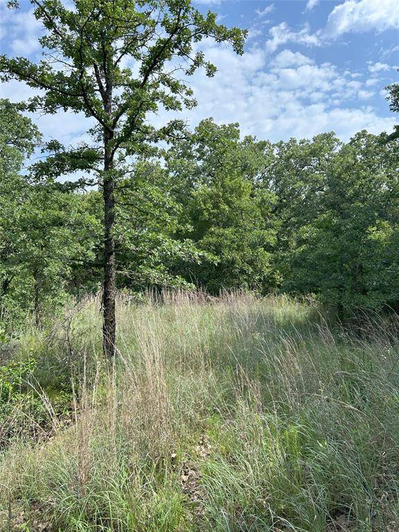 Weatherford, TX 76088,3470 Old Agnes Road