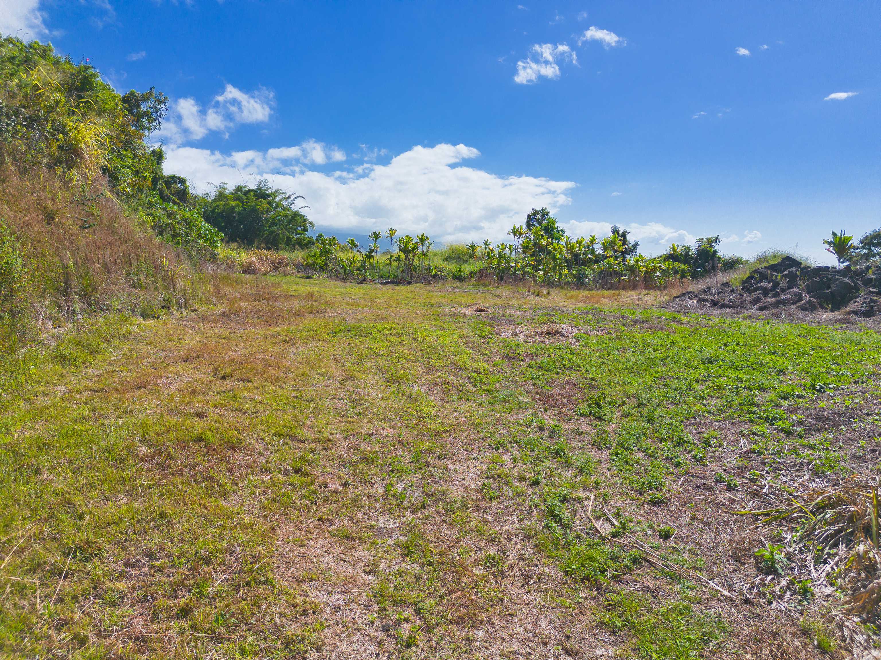 Captain Cook, HI 96704,82-1088 KOA RD