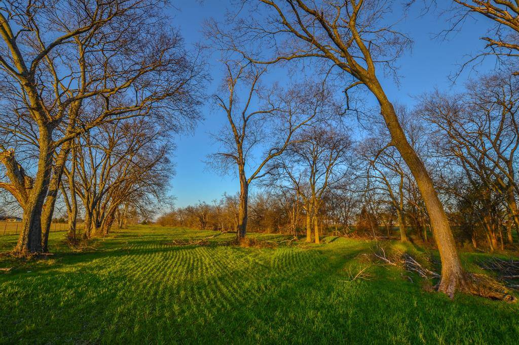 Point, TX 75472,1392 E US Highway 69