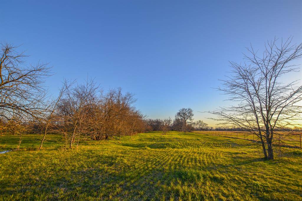 Point, TX 75472,1392 E US Highway 69