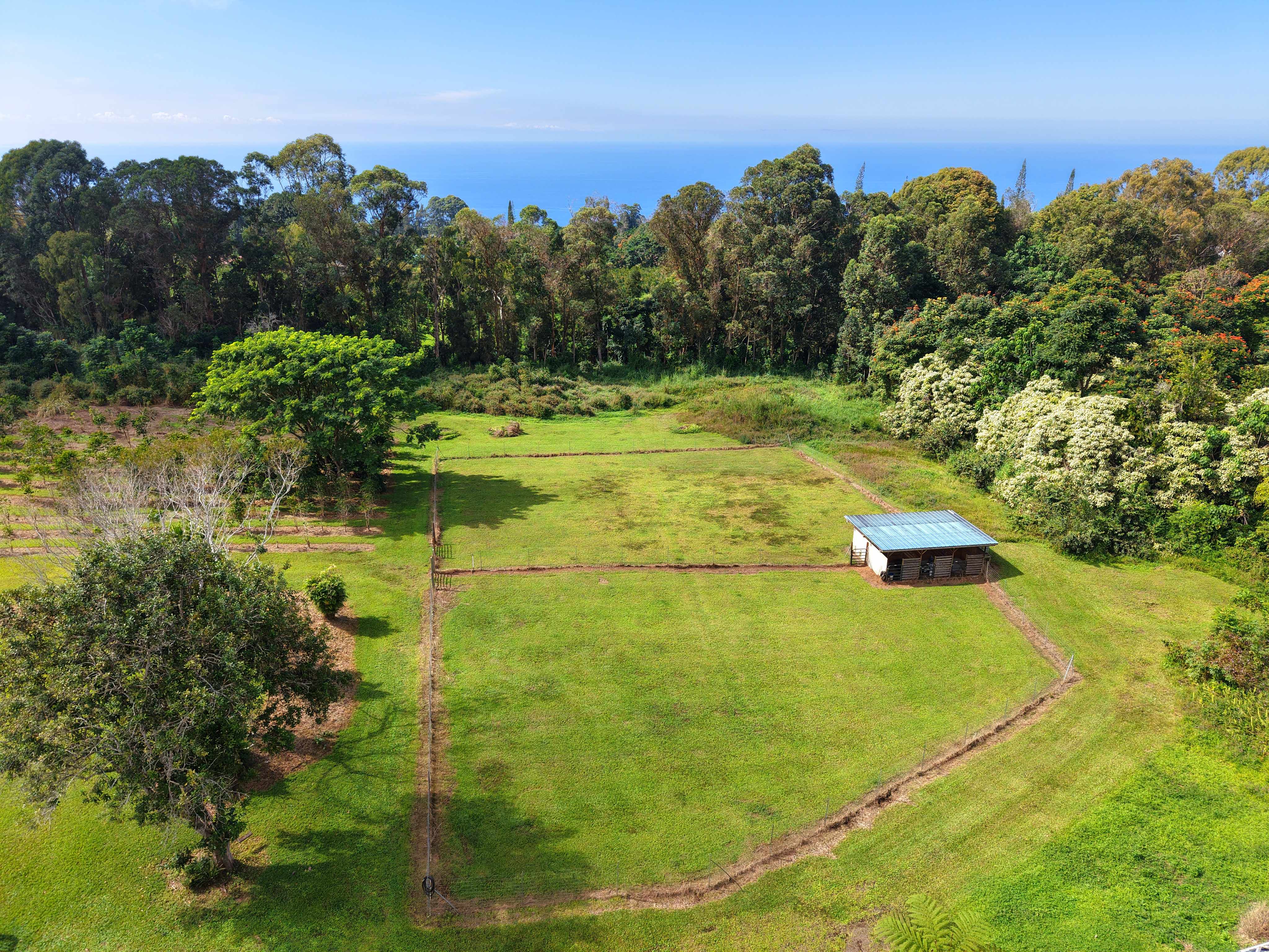 Holualoa, HI 96725,78-1392 BISHOP RD