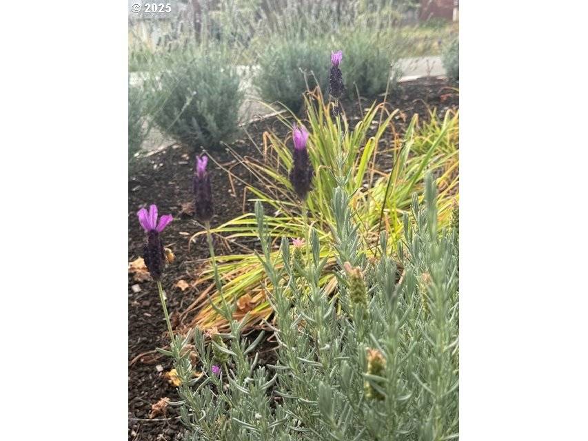 Tigard, OR 97224,15240 SW 100TH AVE