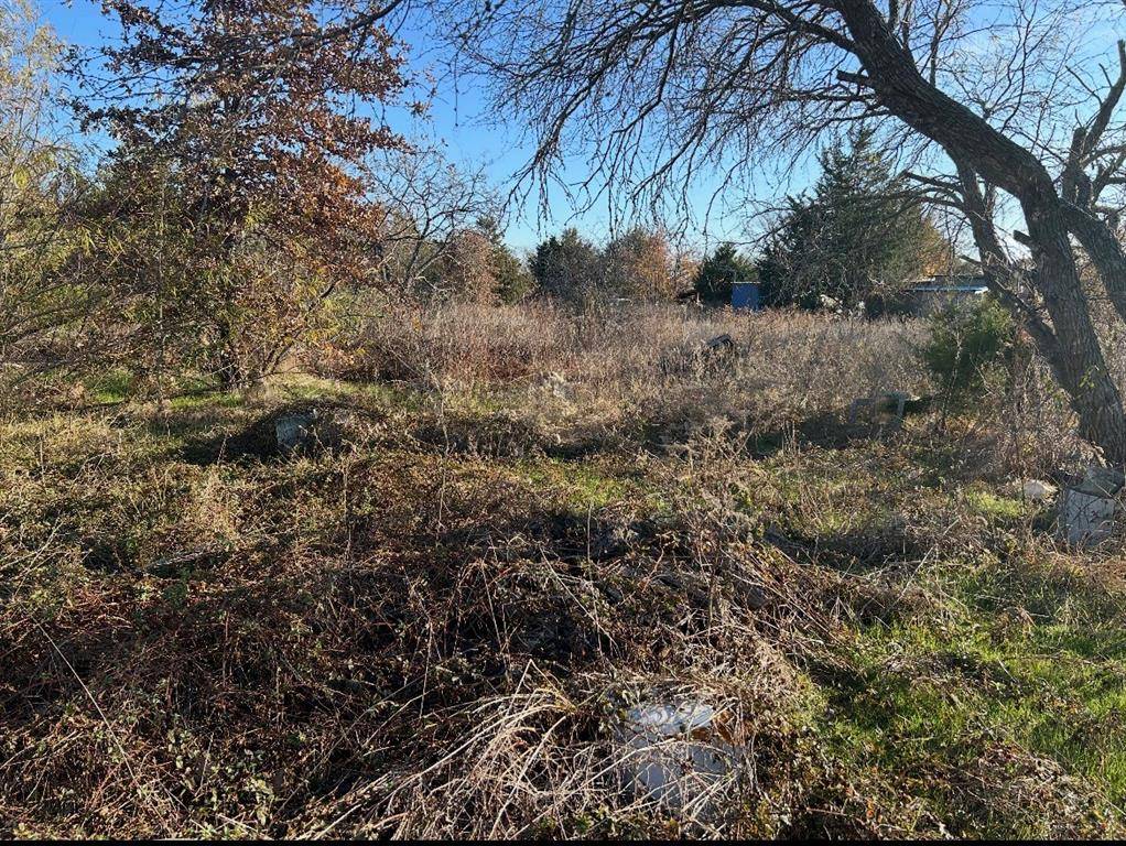 Kemp, TX 75143,18041 Terrace Drive