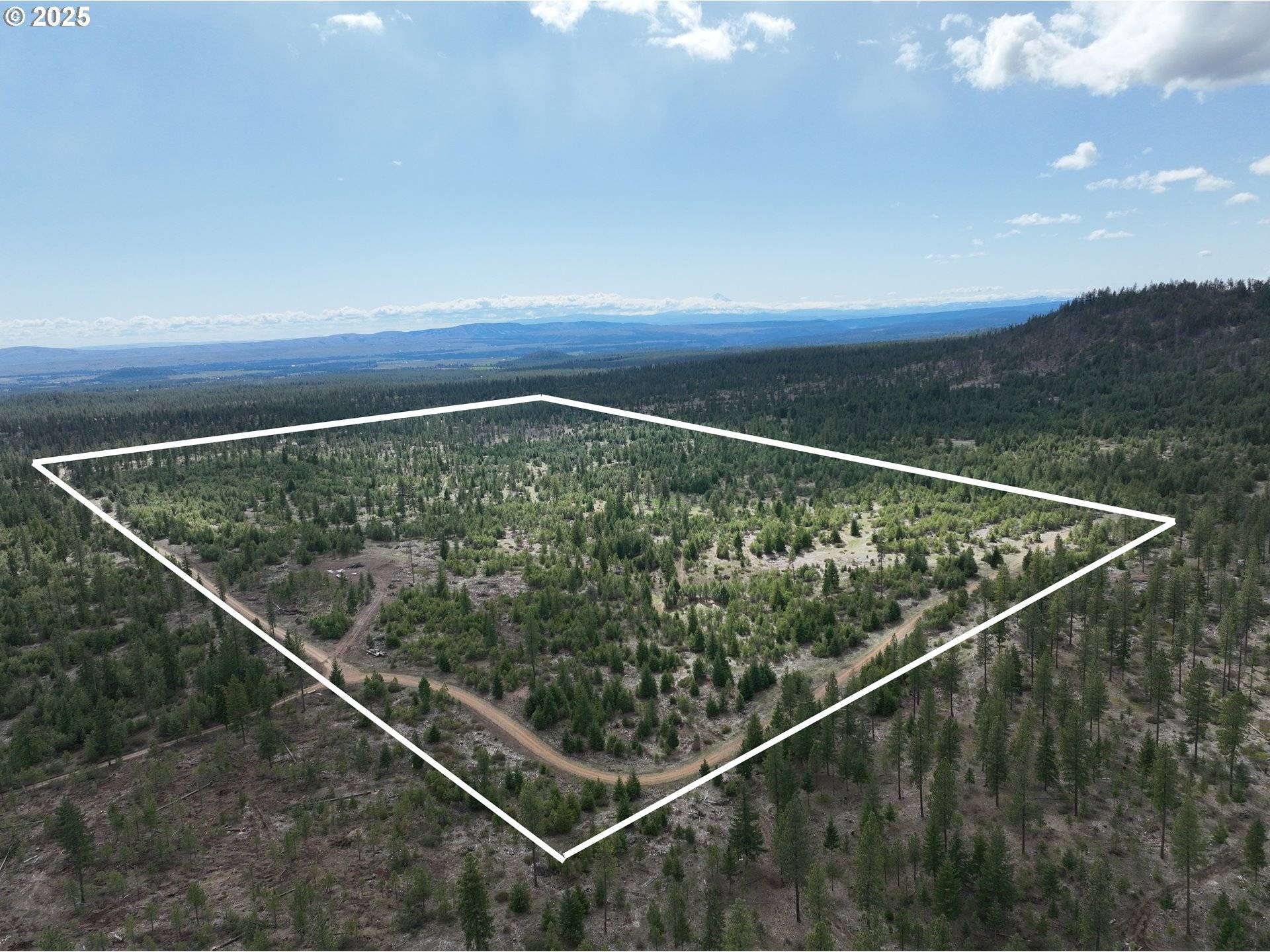 Goldendale, WA 98620,85 MULE RUN RD