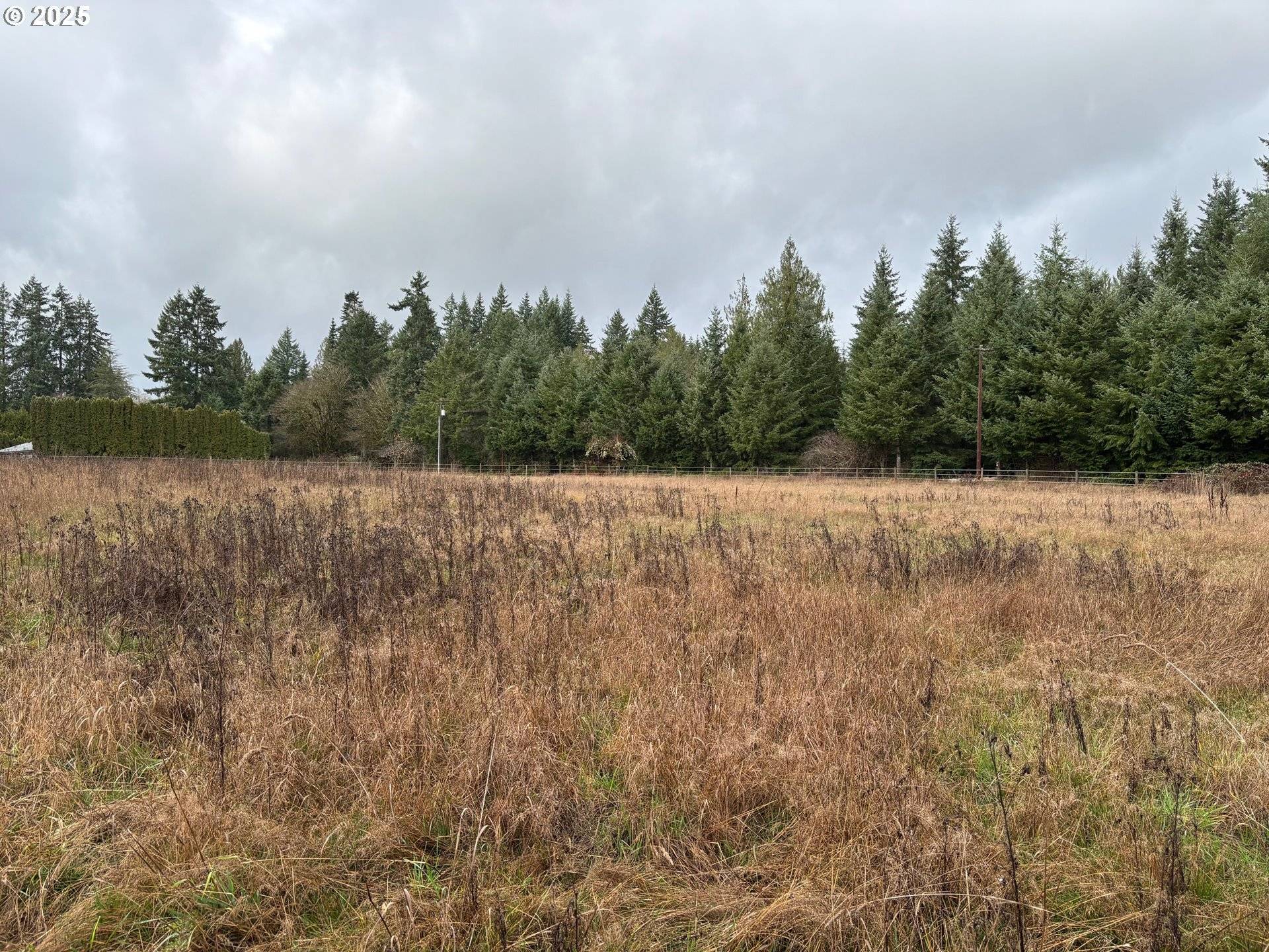 Winlock, WA 98596,0 BYHAM RD