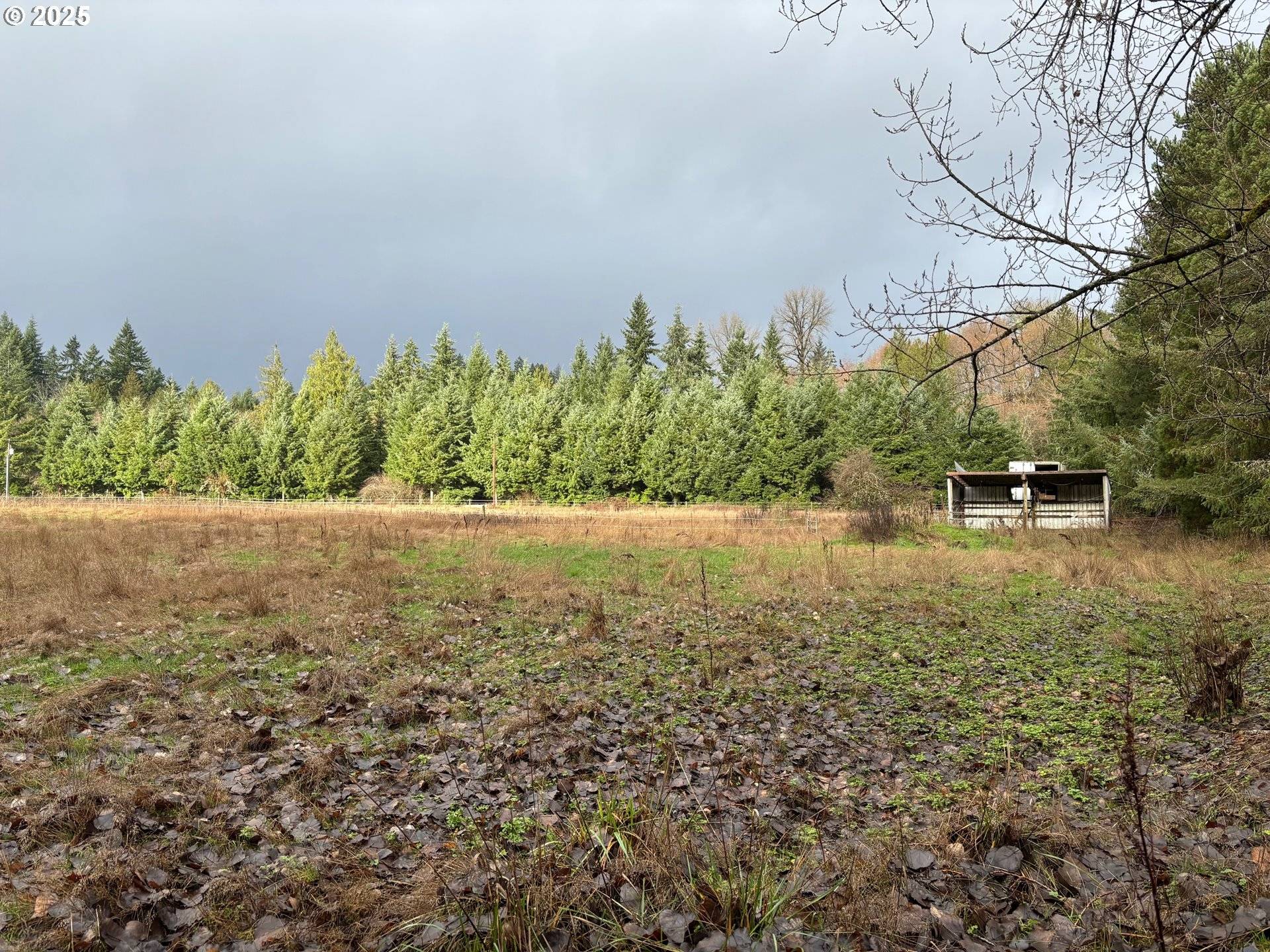 Winlock, WA 98596,0 BYHAM RD