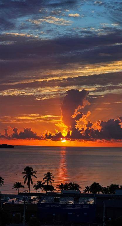 Fort Lauderdale, FL 33316,200 Birch #714