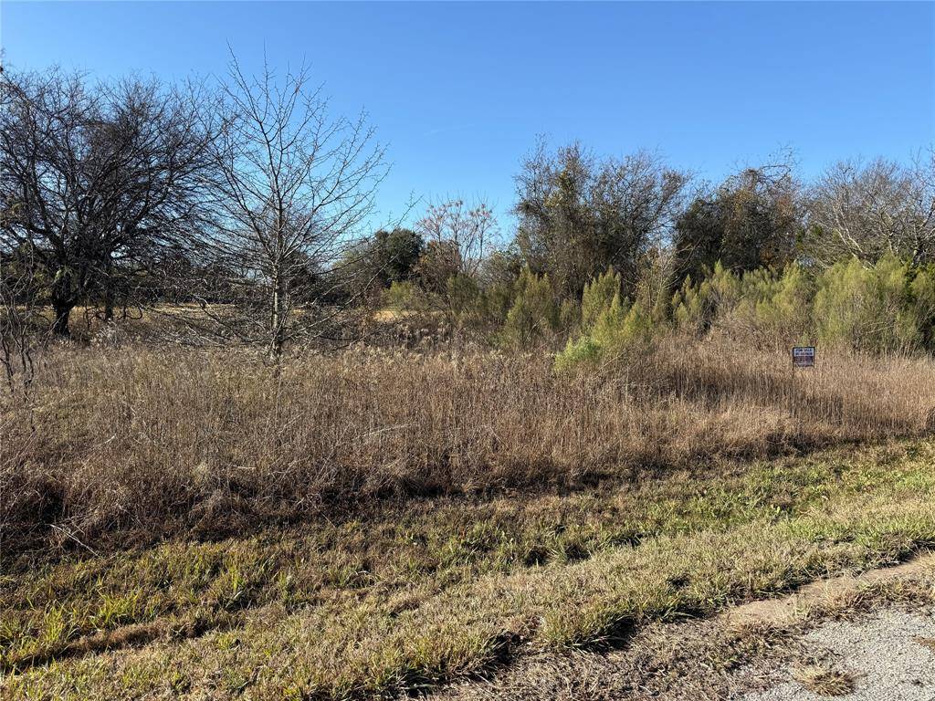 Whitney, TX 76692,38037 Brookside Drive