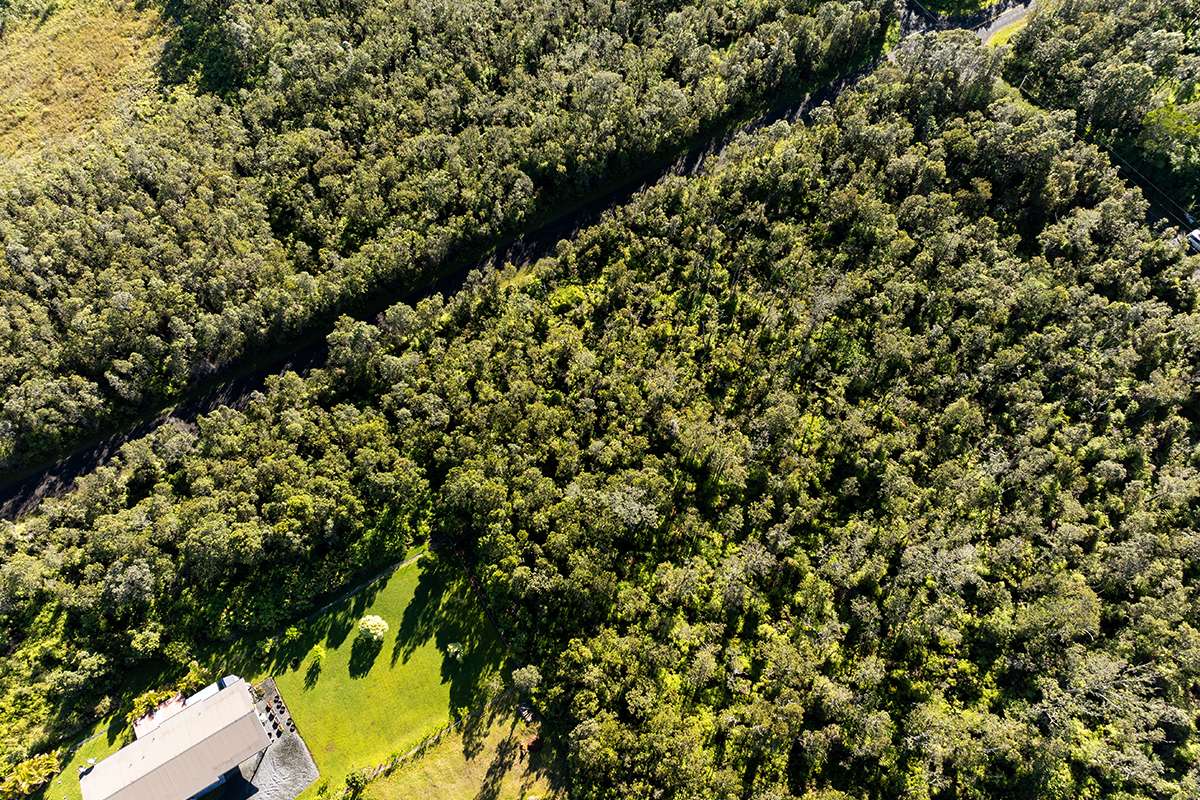 Volcano, HI 96785,11-3081 ALII KOA ST