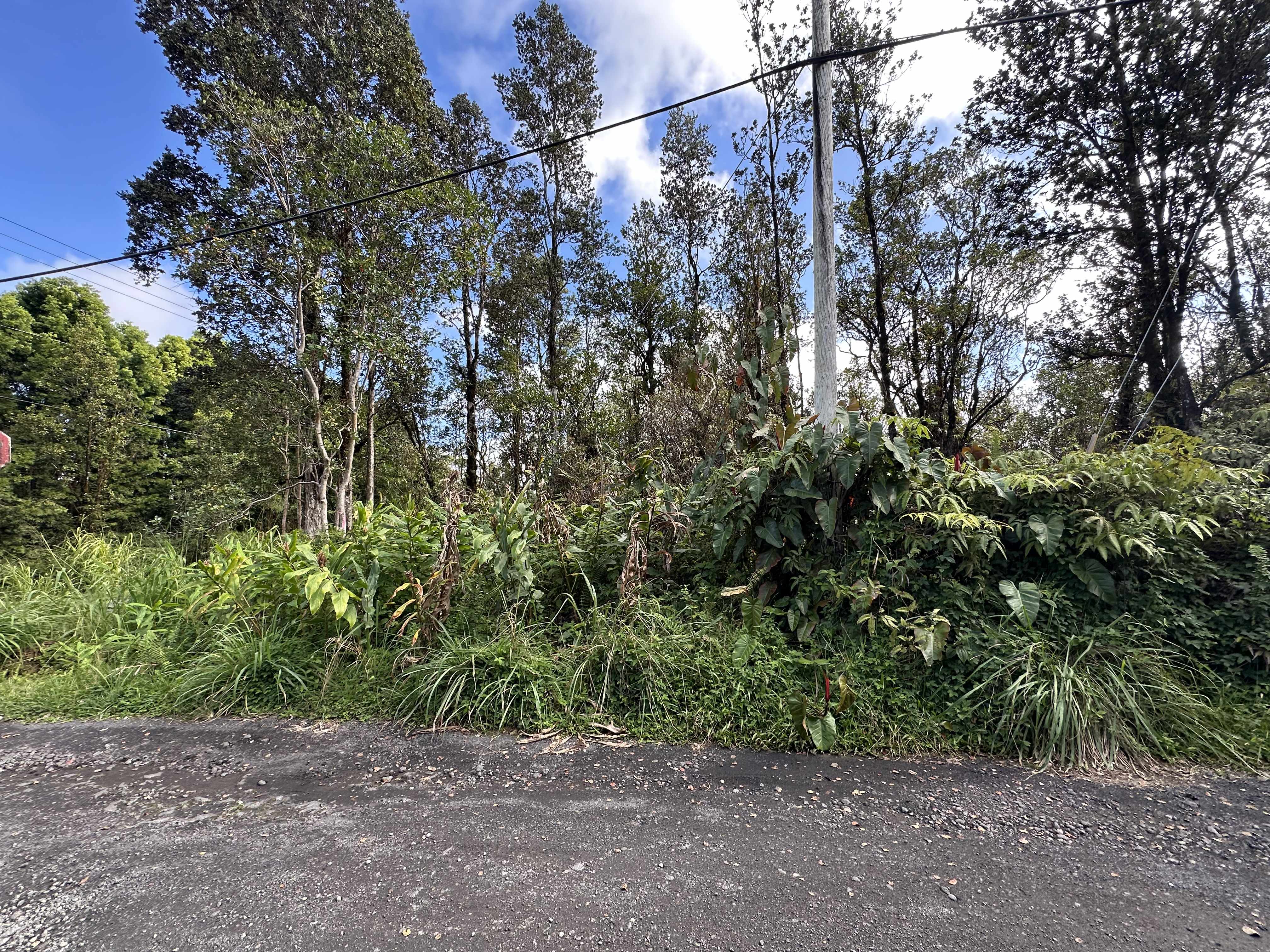 Mountain View, HI 96771,PALAINUI ST